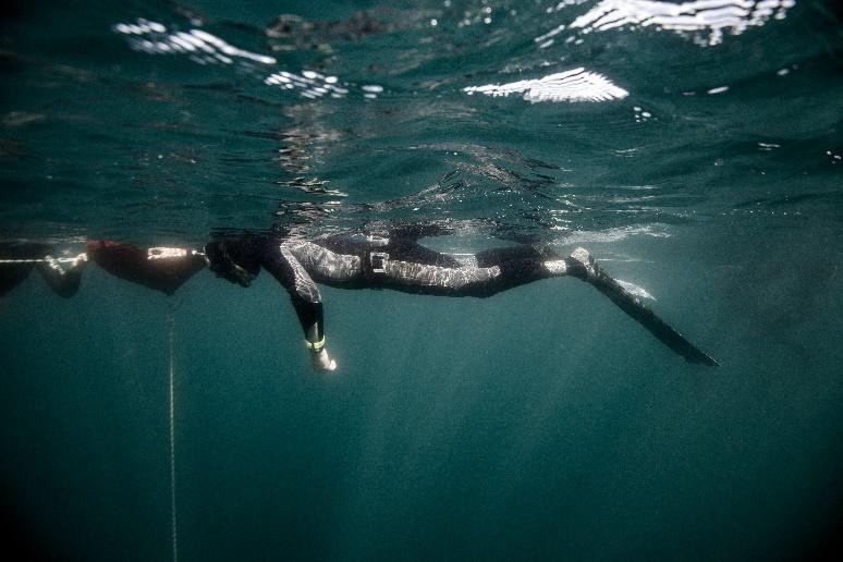 Inmersiones en el mar