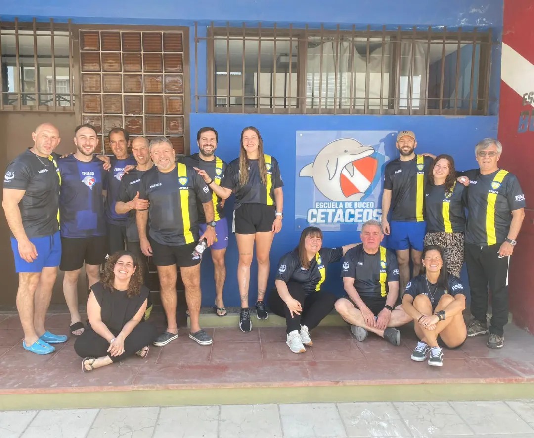 sede dorso
